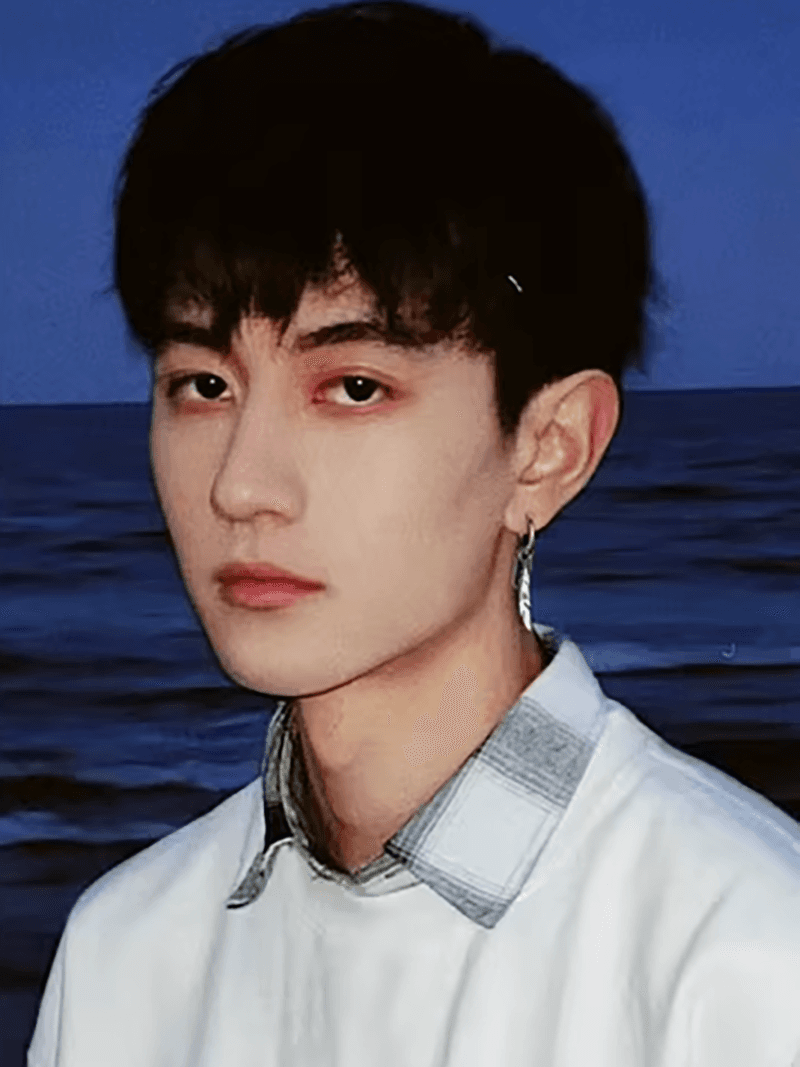 メンズアクセサリー 男性用 流線型揺れる片耳ピアス